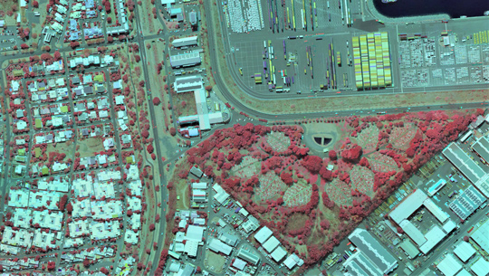 Orthophoto Near Infrared Red-Green for vegetation detection.